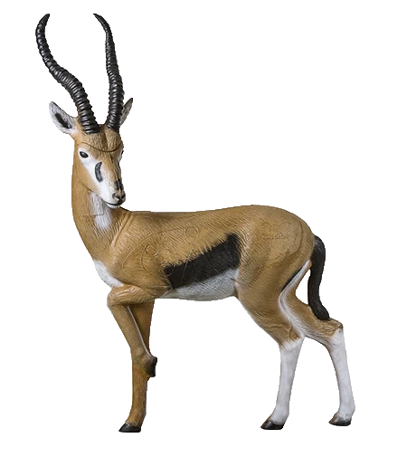 Rinehart Gazelle