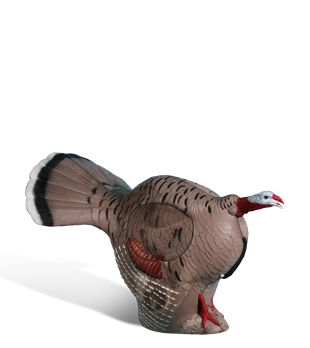 Rinehart Gobbling Turkey