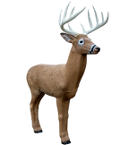 Rinehart Midwest Buck