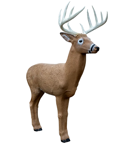 Rinehart Midwest Buck