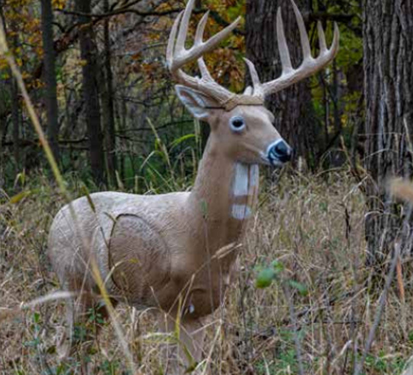 Rinehart Midwest Buck, view 2
