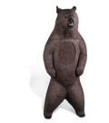 Rinehart Mountain Grizzly