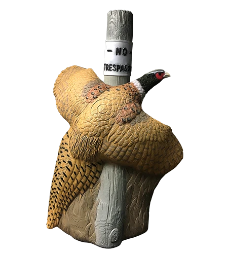 Rinehart Pheasant