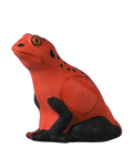 Rinehart Red Poison Arrow Frog
