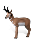 Rinehart Pronghorn Antelope
