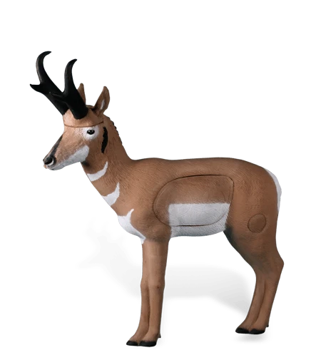 Rinehart Pronghorn Antelope