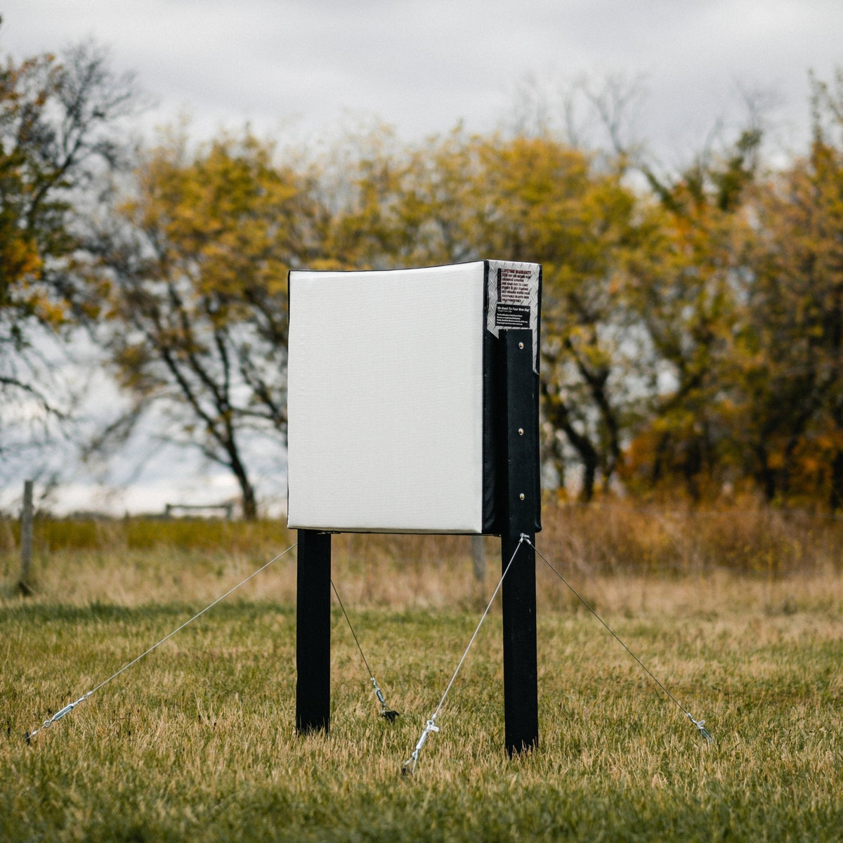 RangeDog PLUS archery target on outdoor stand, rear three-quarter view