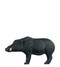 Rinehart Razorback Boar