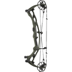 Hoyt Carbon RX-10 - Wilderness with matching limbs