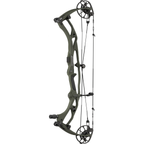 Hoyt Carbon RX-10 Ultra - Wilderness with matching limbs