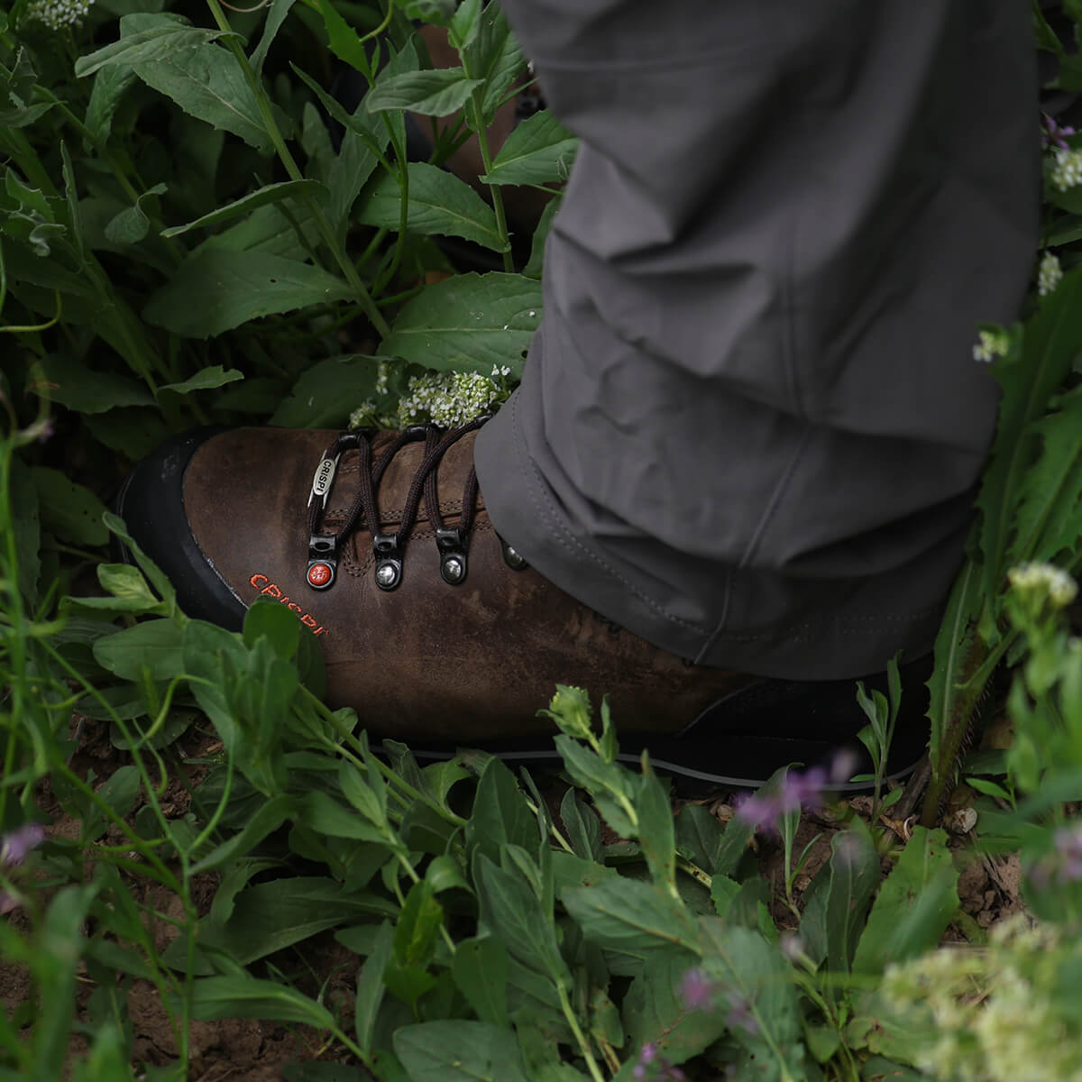Crispi Upland Pro, Brown, in the field