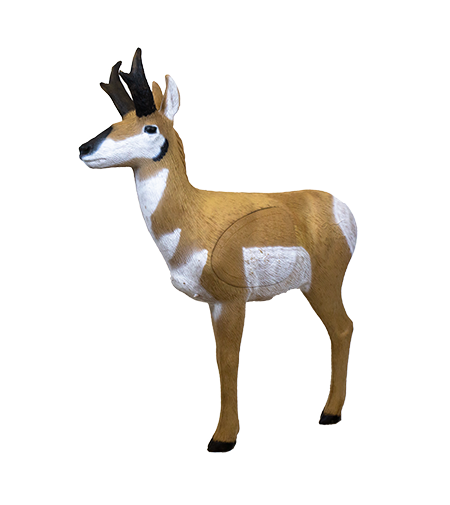 Rinehart Signature Antelope