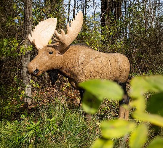 Rinehart Signature 1/3 Scale Moose, view 2
