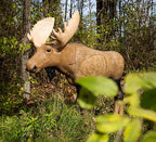 Rinehart Signature 1/3 Scale Moose, view 2