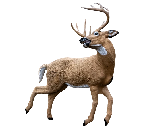 Rinehart Kicking Buck