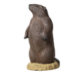 Rinehart Signature Groundhog